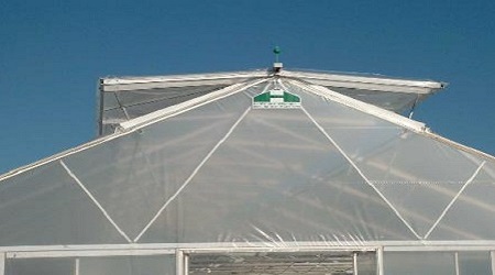 Domestic Greenhouse
