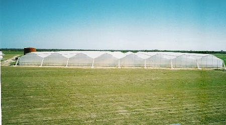 Commercial green house
