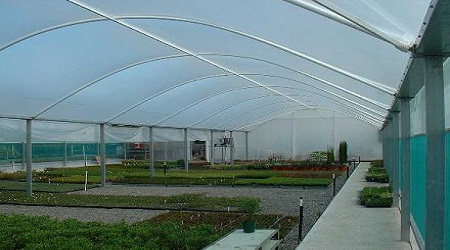 Commercial green house